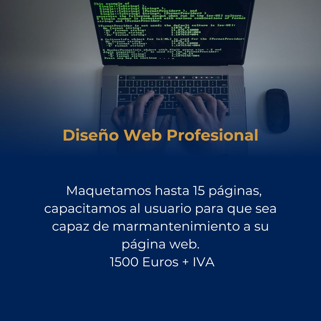 Diseño Web Profesional